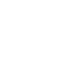 Document Scanning Icon